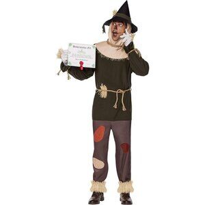 Wizard Of Oz Scarecrow Costume Adult Medium Shirt Pants Hood Hat Gloves Belt Dip